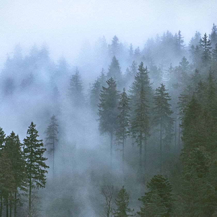 Listening To Nippon Kodo Kayuragi - Cypress