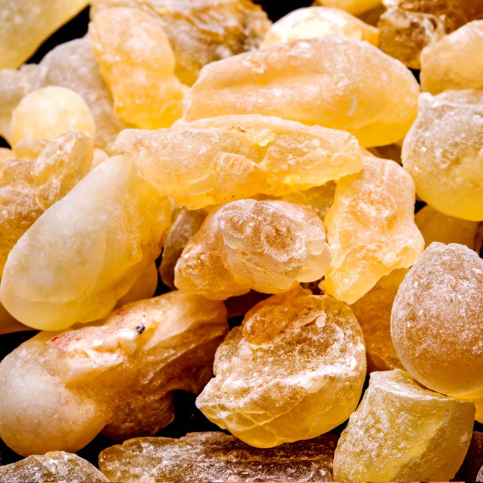 Japanese Incense 101: Classic Aromatic Resins