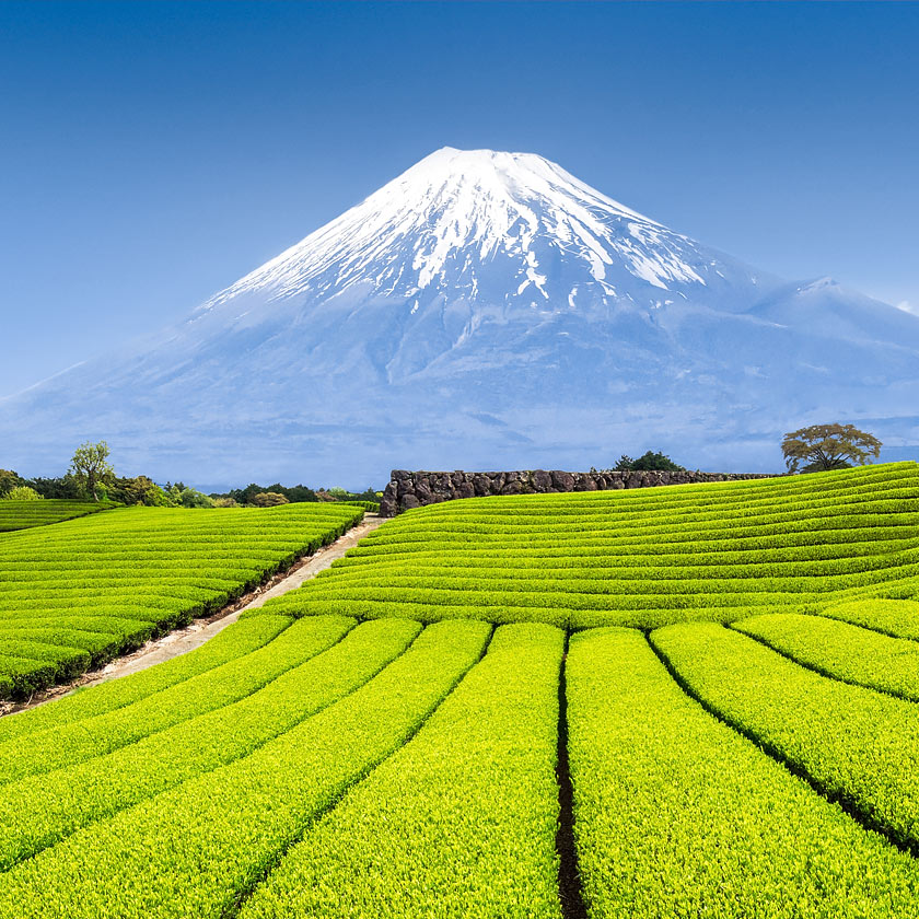 Listening to Gyokushodo Kaze no Sho