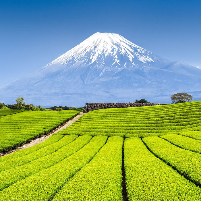 Listening to Gyokushodo Kaze no Sho