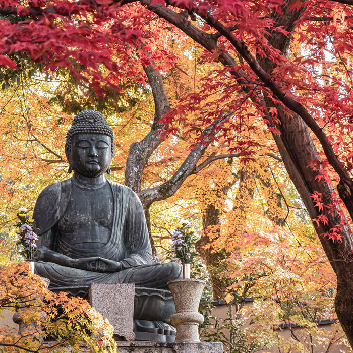 Listening to Daihatsu Good Fortune Sandalwood