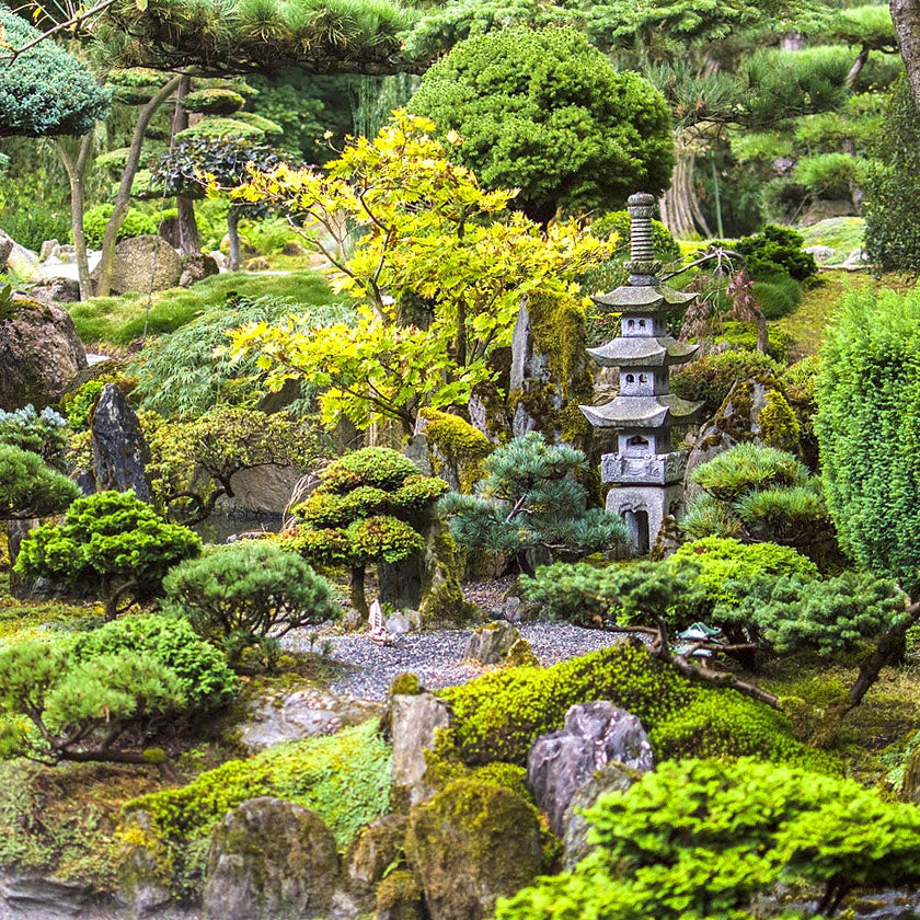 Listening to Seikado Meikoh Kyara