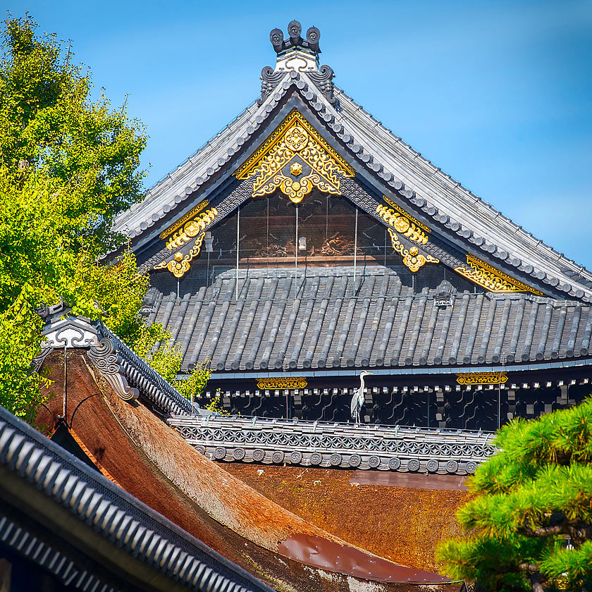 Listening to Baieido Tokusen Kokonoe...