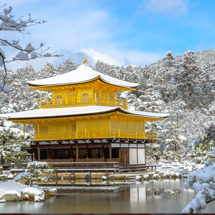 Listening to Seijudo Kyara Enju