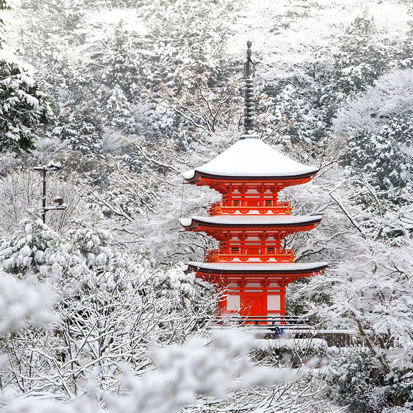 Listening to Kokando Kunpūshi Aloeswood