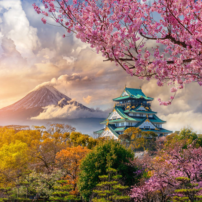 Listening to Kyukyodo Shorankoh