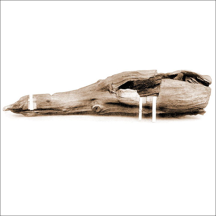 Koboku 香木 (Fragrant Wood)