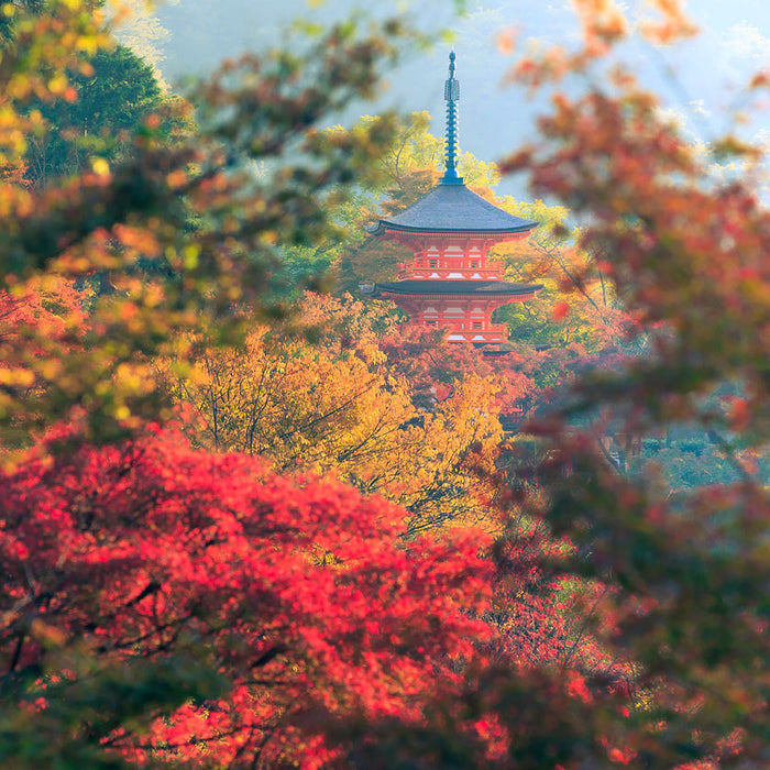 Listening to Daihatsu Taganohana