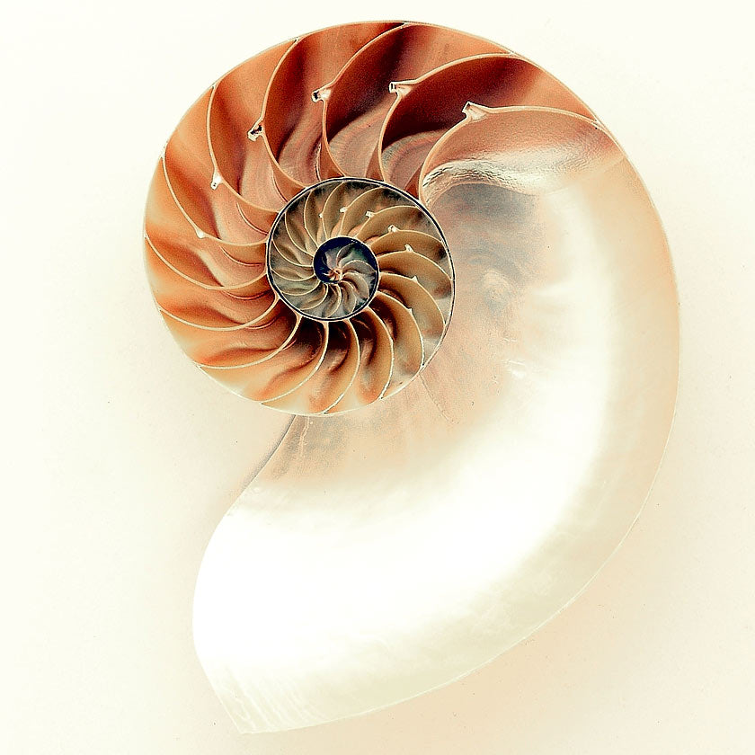 Japanese Incense 101: Pungent Aromatics