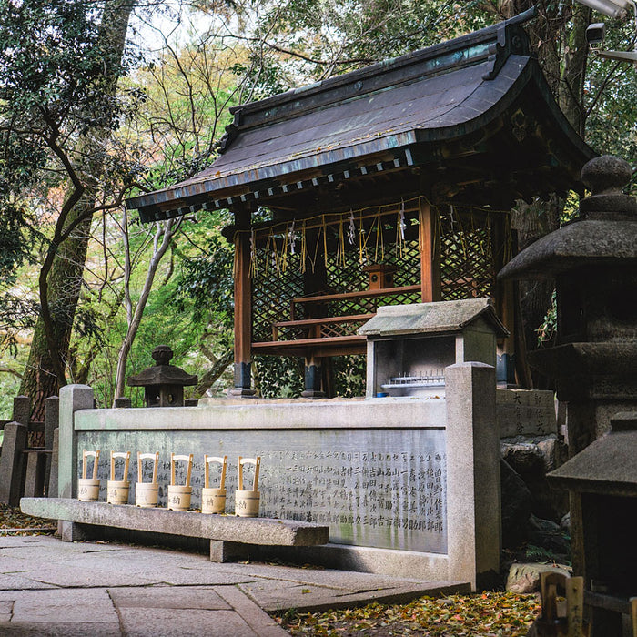 Listening to Baieido Kaden Kobunboku