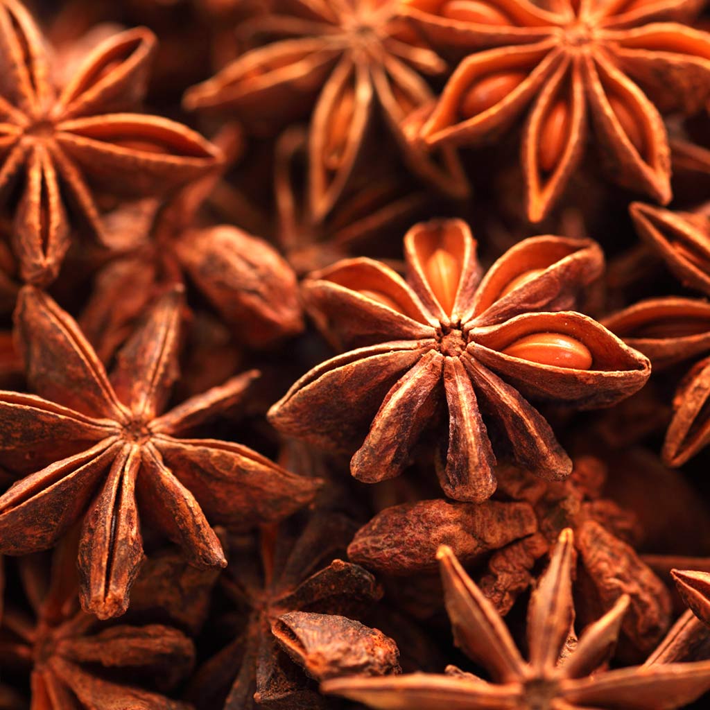 Japanese Incense 101: Aromatic Plant Materials