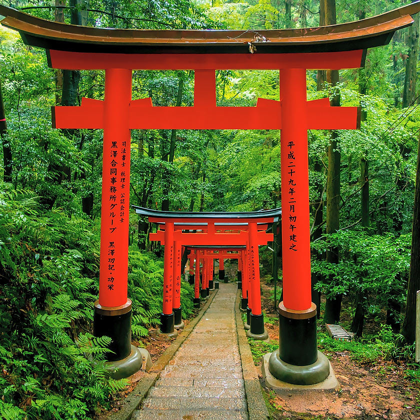 Listening to Yamadamatsu Kumoi