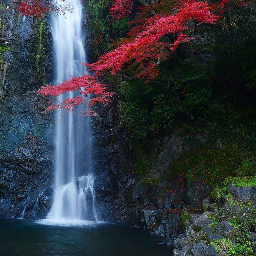 Listening to Yamadamatsu Hyofu